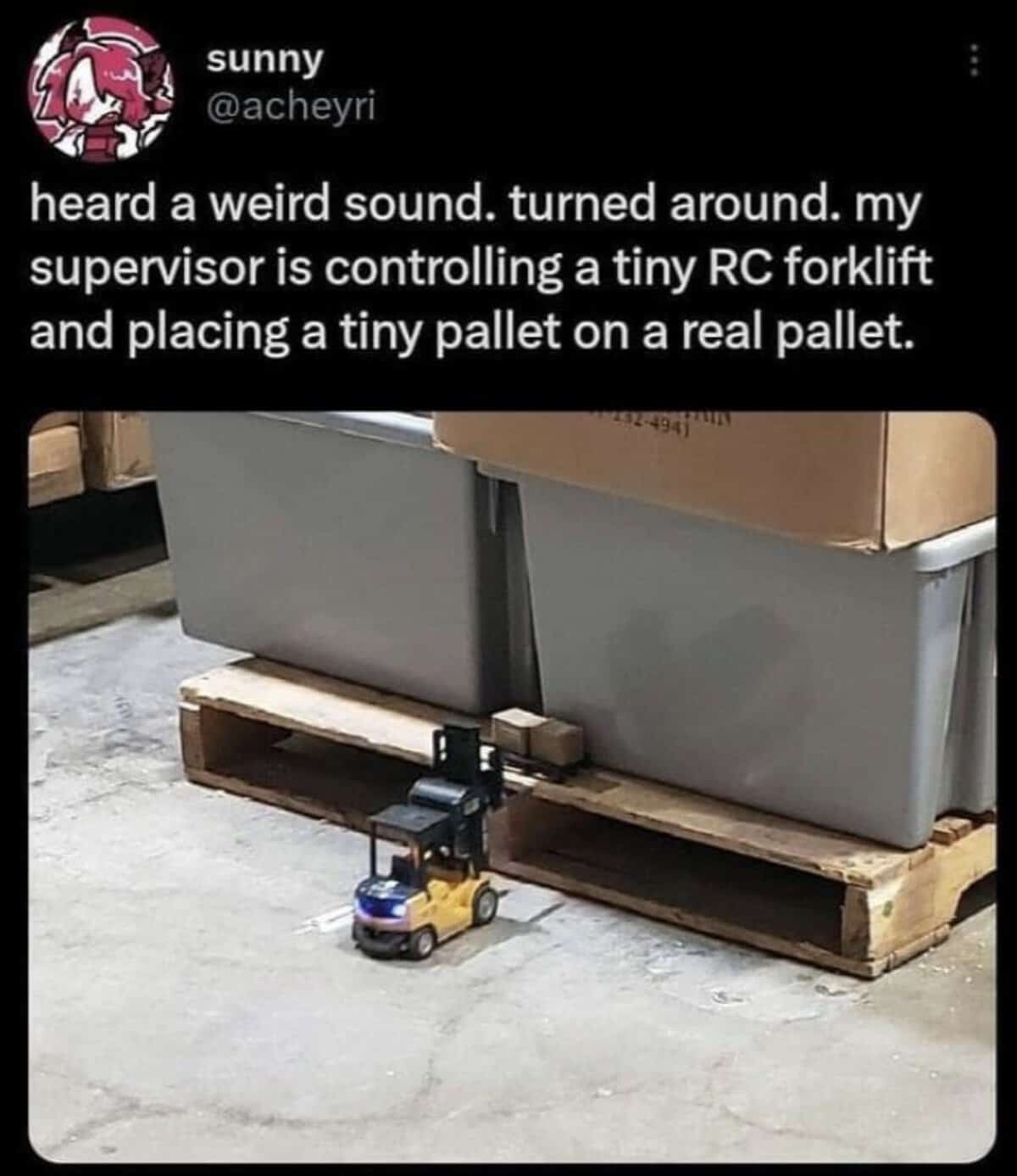 heard a weird sound. turned around. my supervisor is controlling a tiny RC forklift and placing a tiny pallet on a real pallet.