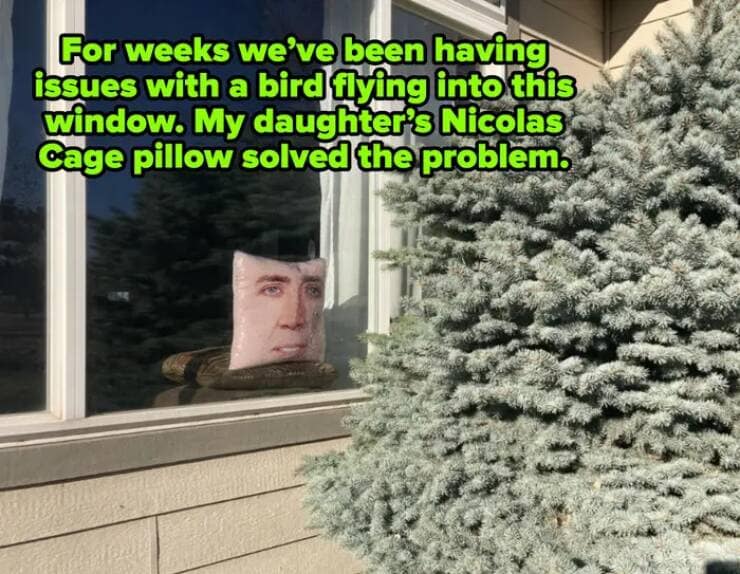 My wife found this on one of her tables today at work