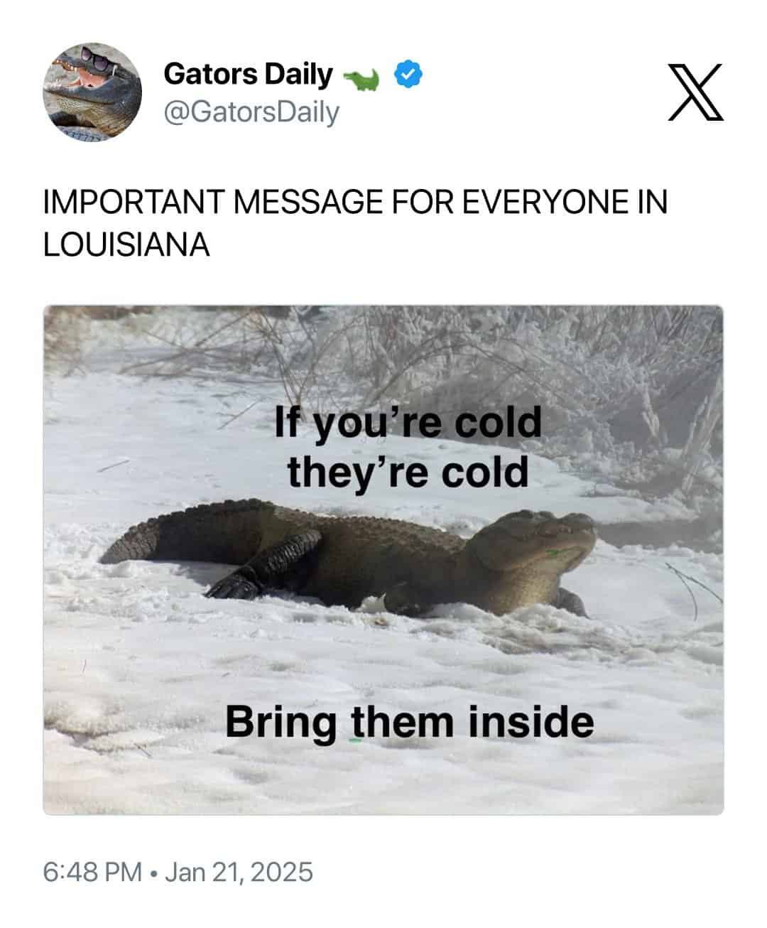 IMPORTANT MESSAGE FOR EVERYONE IN LOUISIANA If you're cold they're cold Bring them inside