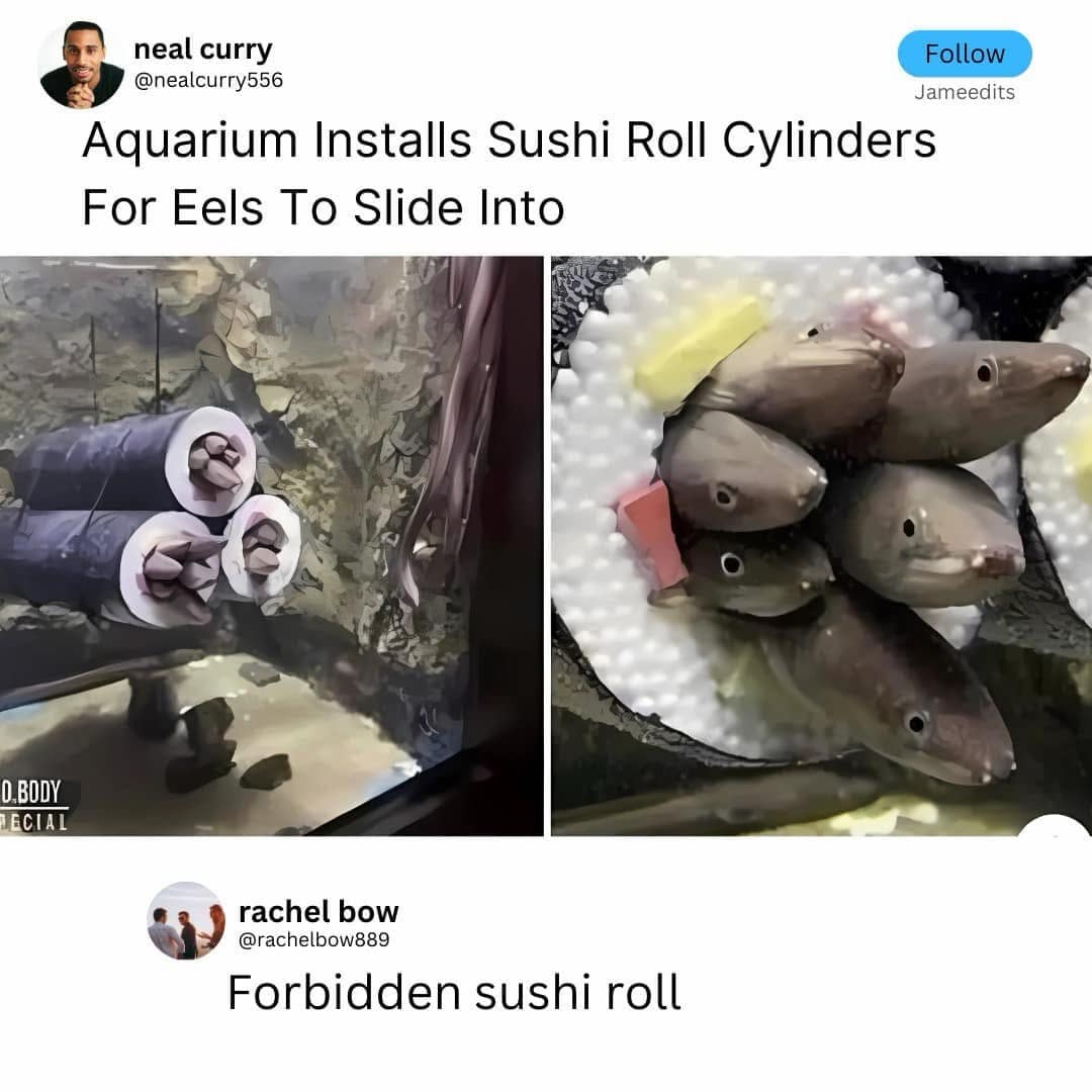 Aquarium Installs Sushi Roll Cylinders For Eels To Slide Into