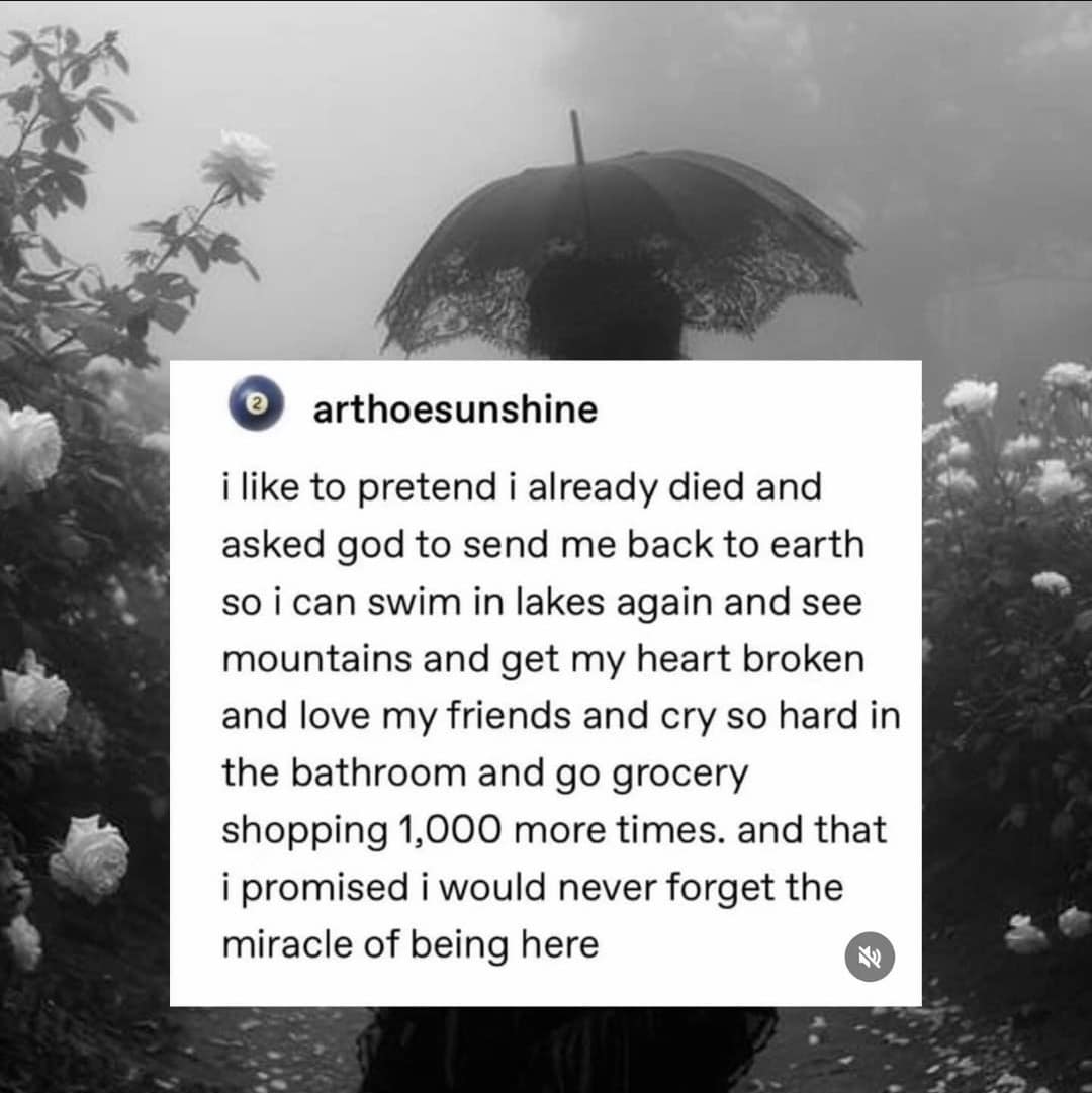 i like to pretend i already died and asked god to send me back to earth so i can swim in lakes again and see mountains and get my heart broken and love my friends and cry so hard in the bathroom and go grocery shopping 1,000 more times. and that i promised i would never forget the miracle of being here