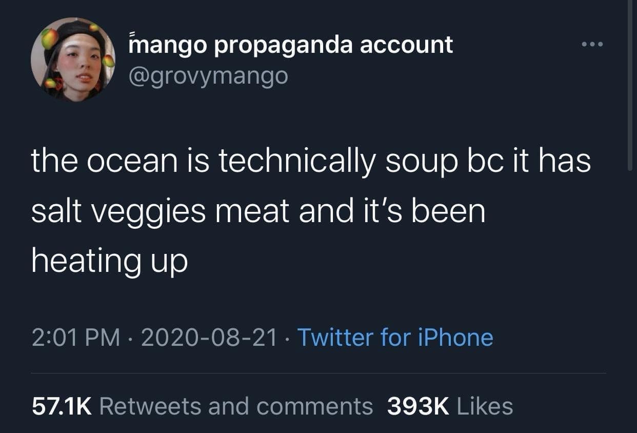 the ocean is technically soup bc it has salt veggies meat and it's been heating up