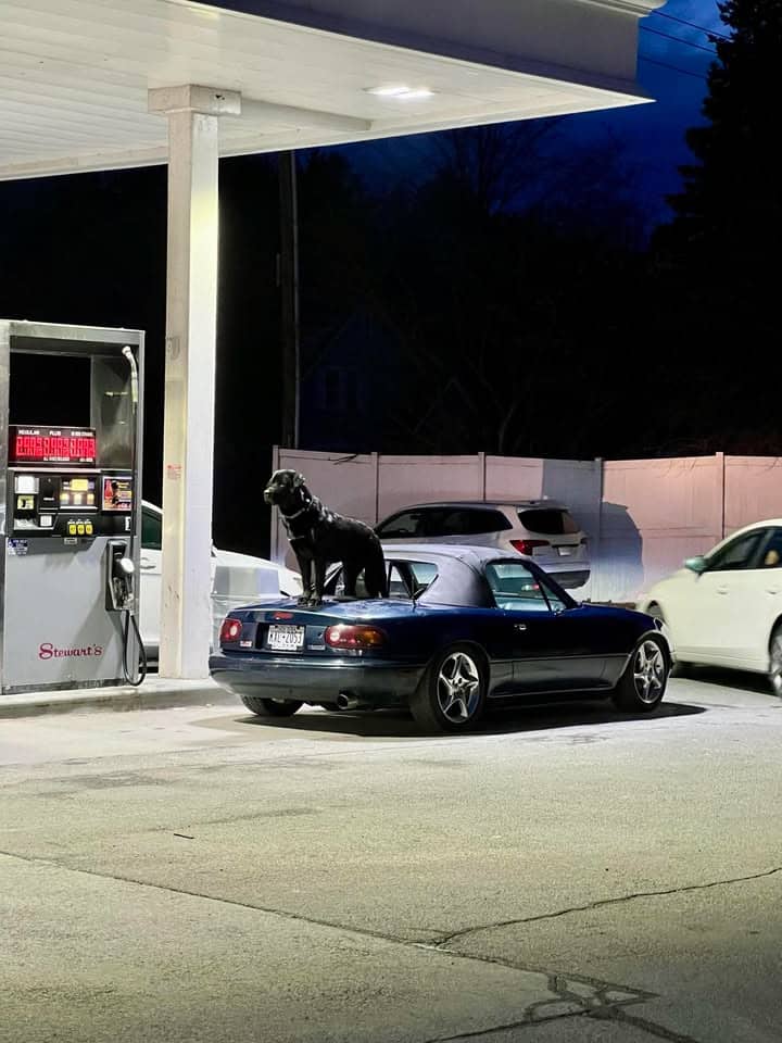 funny miata, miatas with threatening auras, comedic roadster bits, small convertible jokes, quirky sports car humor, Miata memes, comedic two-seater illusions, beloved tiny ride references, Mazda jokes, brand-based comedic angles, automaker witty bits, car humor, vehicular comedic lines, automotive meltdown commentary