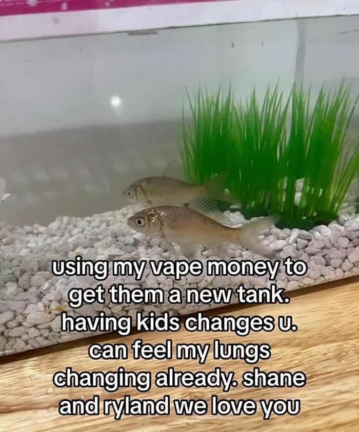 using my vape money to get them a new tank. having kids changes u. can feel my lungs changing already. shane and ryland we love you