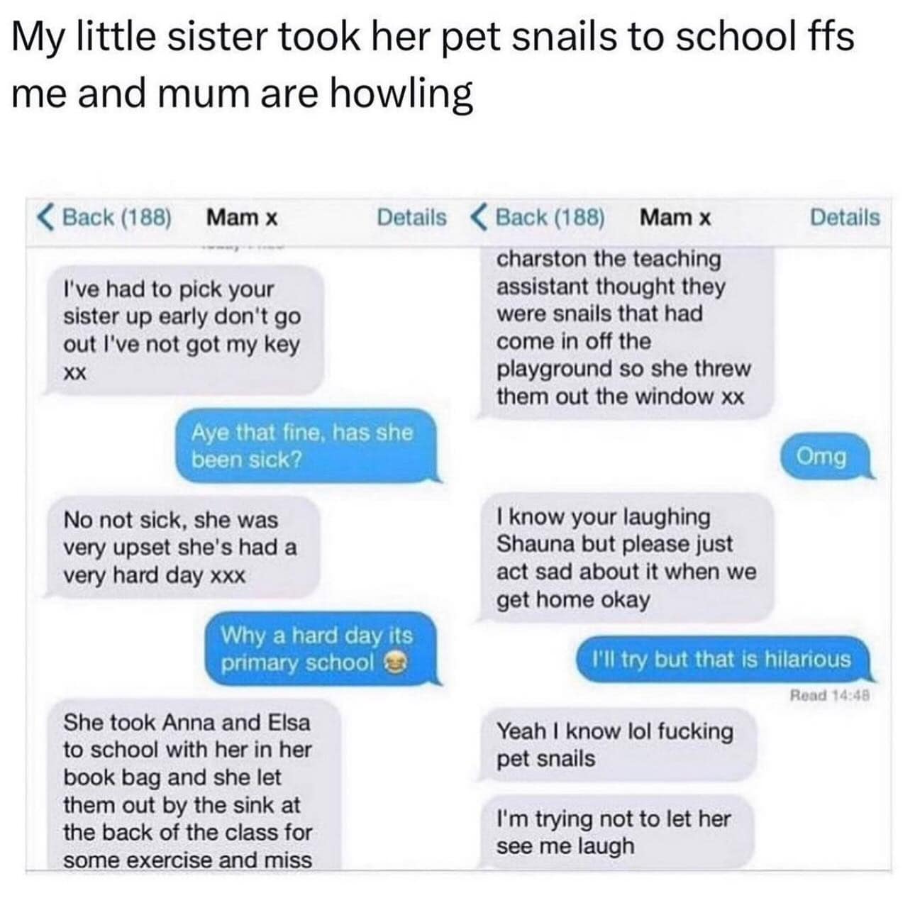 My little sister took her pet snails to school ffs me and mum are howling