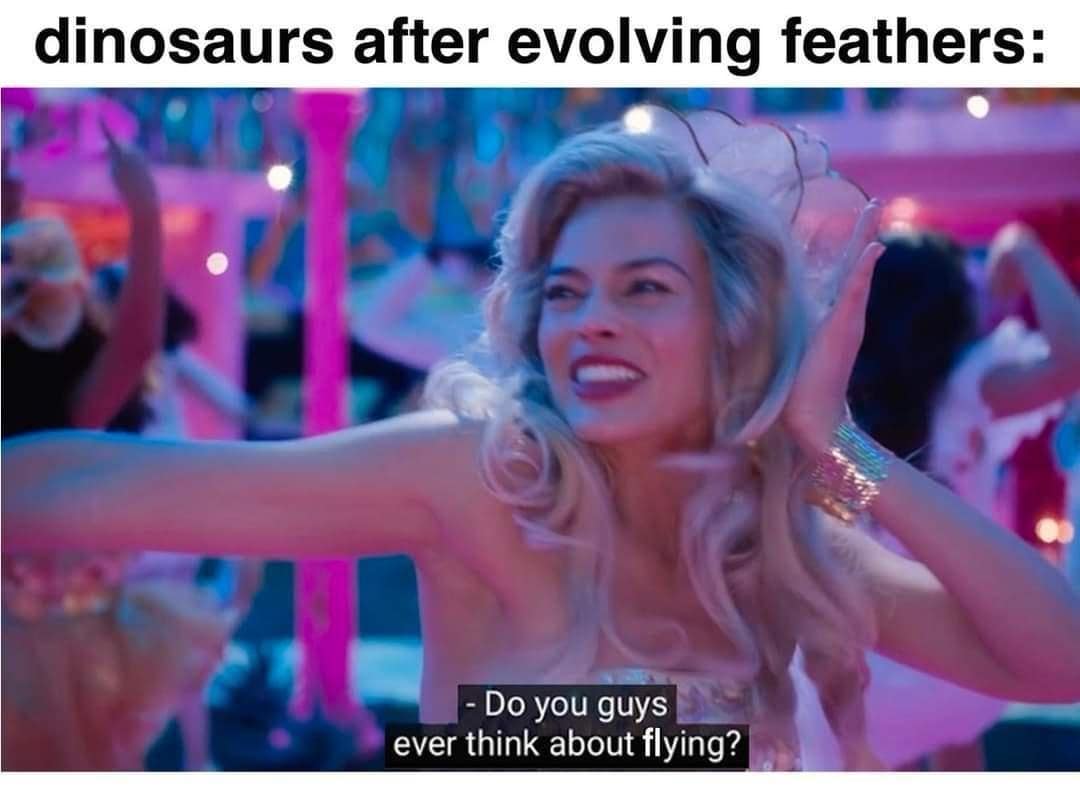 dinosaurs after evolving feathers: - Do you guys ever think about flying?