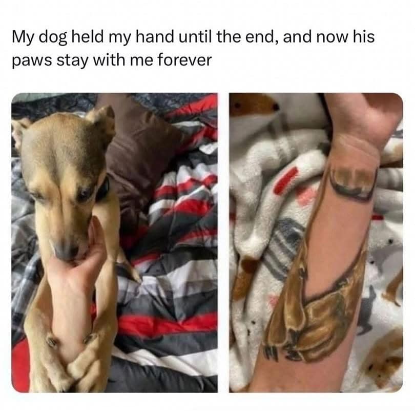My dog held my hand until the end, and now his paws stay with me forever