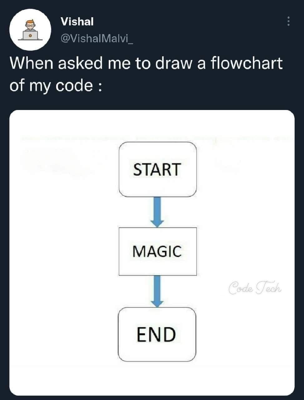 When asked me to draw a flowchart of my code : START MAGIC Code Tech END