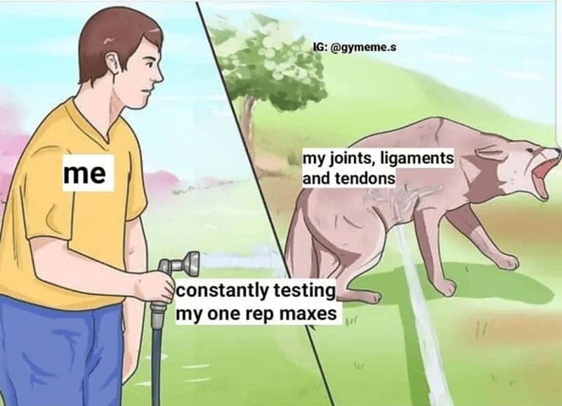 gym memes, workout memes, fitness jokes: healthy-lifestyle funnies, physique comedic jabs, nutrition humor