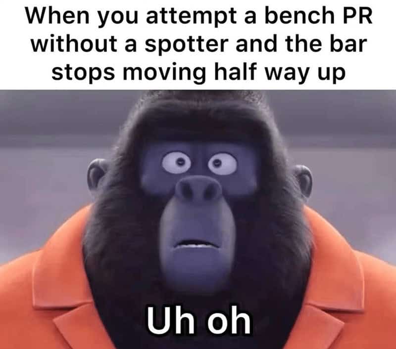 gym memes, workout memes, exercise memes, fitness memes, workout humor, exercise comedic bits, workout pictures, sweating comedic captures, training snapshot jokes, gym fail memes, lifting mishaps, gym meltdown humor, fitness jokes, elliptical laughter, strength comedic illusions