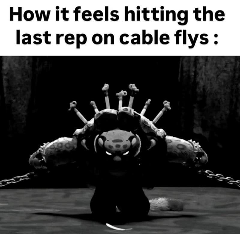 gym memes, workout memes, exercise memes, fitness memes, workout humor, exercise comedic bits, workout pictures, sweating comedic captures, training snapshot jokes, gym fail memes, lifting mishaps, gym meltdown humor, fitness jokes, elliptical laughter, strength comedic illusions