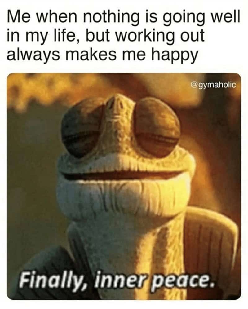 gym memes, workout memes, fitness jokes: healthy-lifestyle funnies, physique comedic jabs, nutrition humor