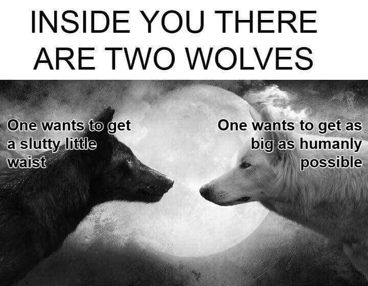 gym memes, workout memes, fitness jokes: healthy-lifestyle funnies, physique comedic jabs, nutrition humor