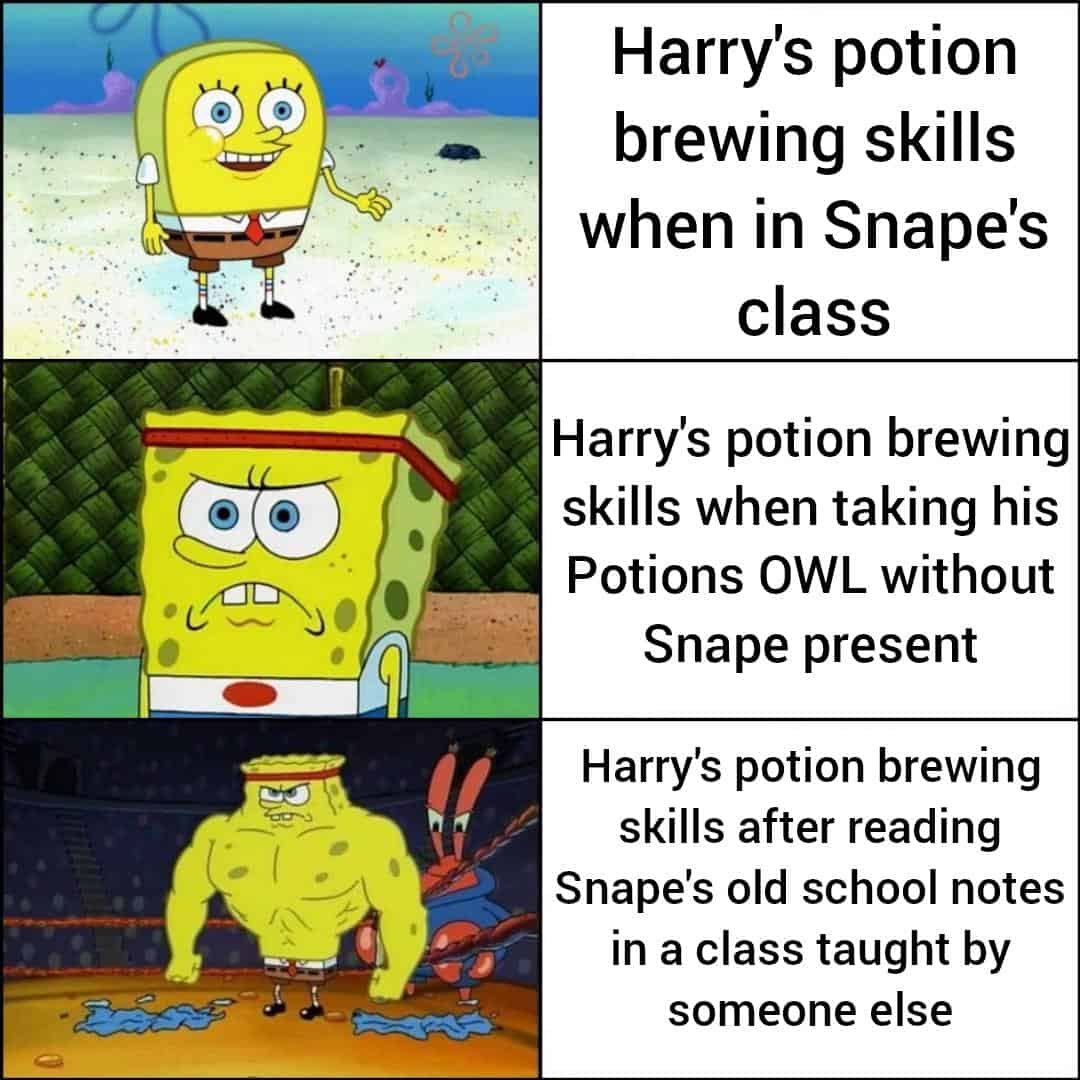 harry potter memes, hogwarts memes