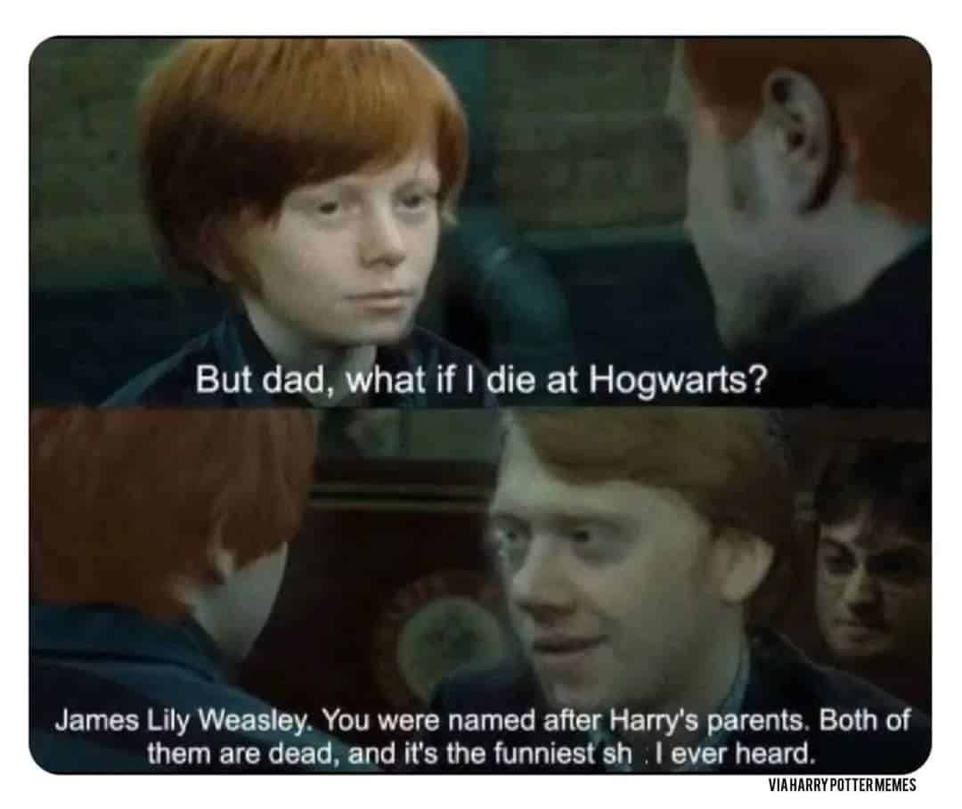 harry potter memes, hogwarts memes