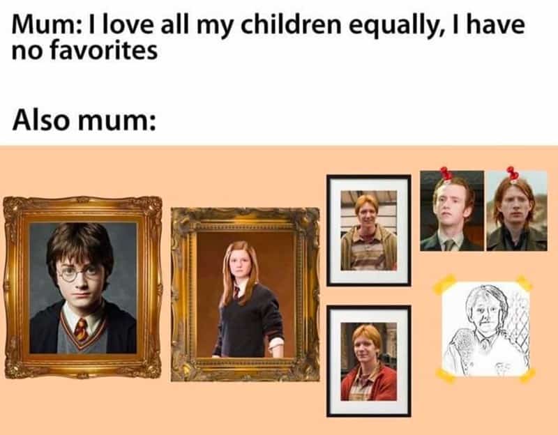 harry potter memes, hogwarts memes