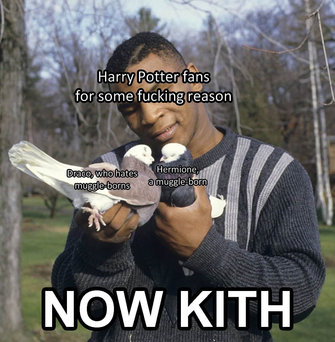 harry potter memes, hogwarts memes