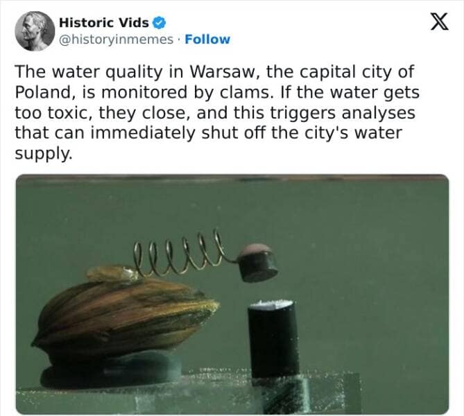 The water quality in Warsaw, the capital city of Poland, is monitored by clams. If the water gets too toxic, they close, and this triggers analyses that can immediately shut off the city's water supply.