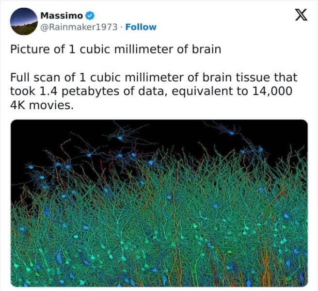 Picture of 1 cubic millimeter of brain Full scan of 1 cubic millimeter of brain tissue that took 1.4 petabytes of data, equivalent to 14,000 4K movies.