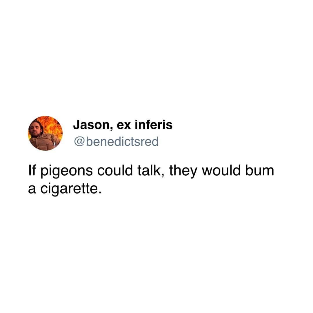 Jason, ex inferis @benedictsred If pigeons could talk, they would bum a cigarette.