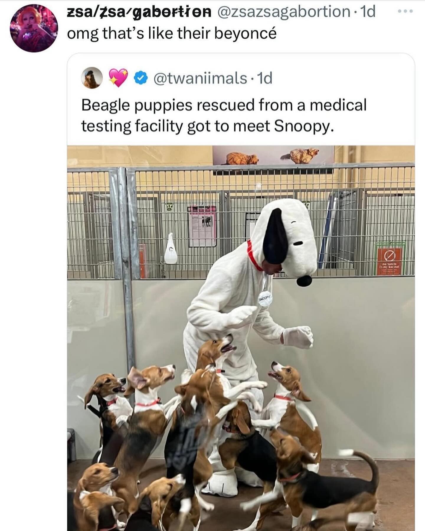 meme dump, funny memes, hilarious memes, trending internet memes, laugh-out-loud memes, internet humor, viral memes, relatable memes, random internet memes