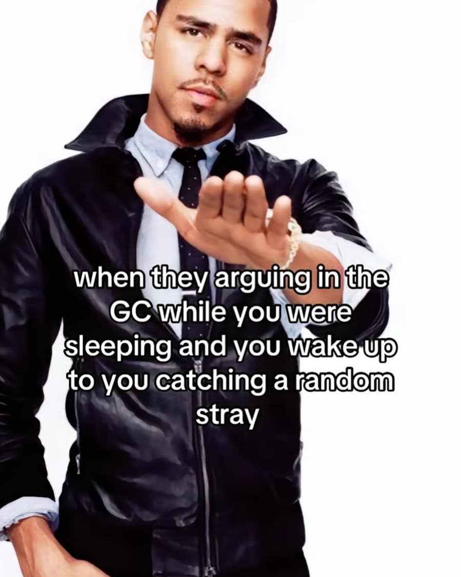 when they arguing in the GC while you were sleeping and you wake up to you catching a random stray