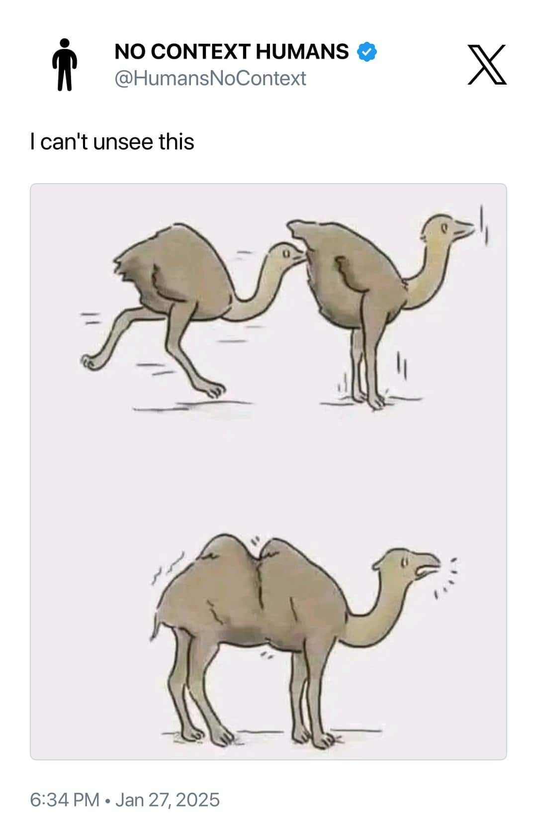 NO CONTEXT HUMANS V @HumansNoContext I can't unsee this 6:34 PM • Jan 27, 2025