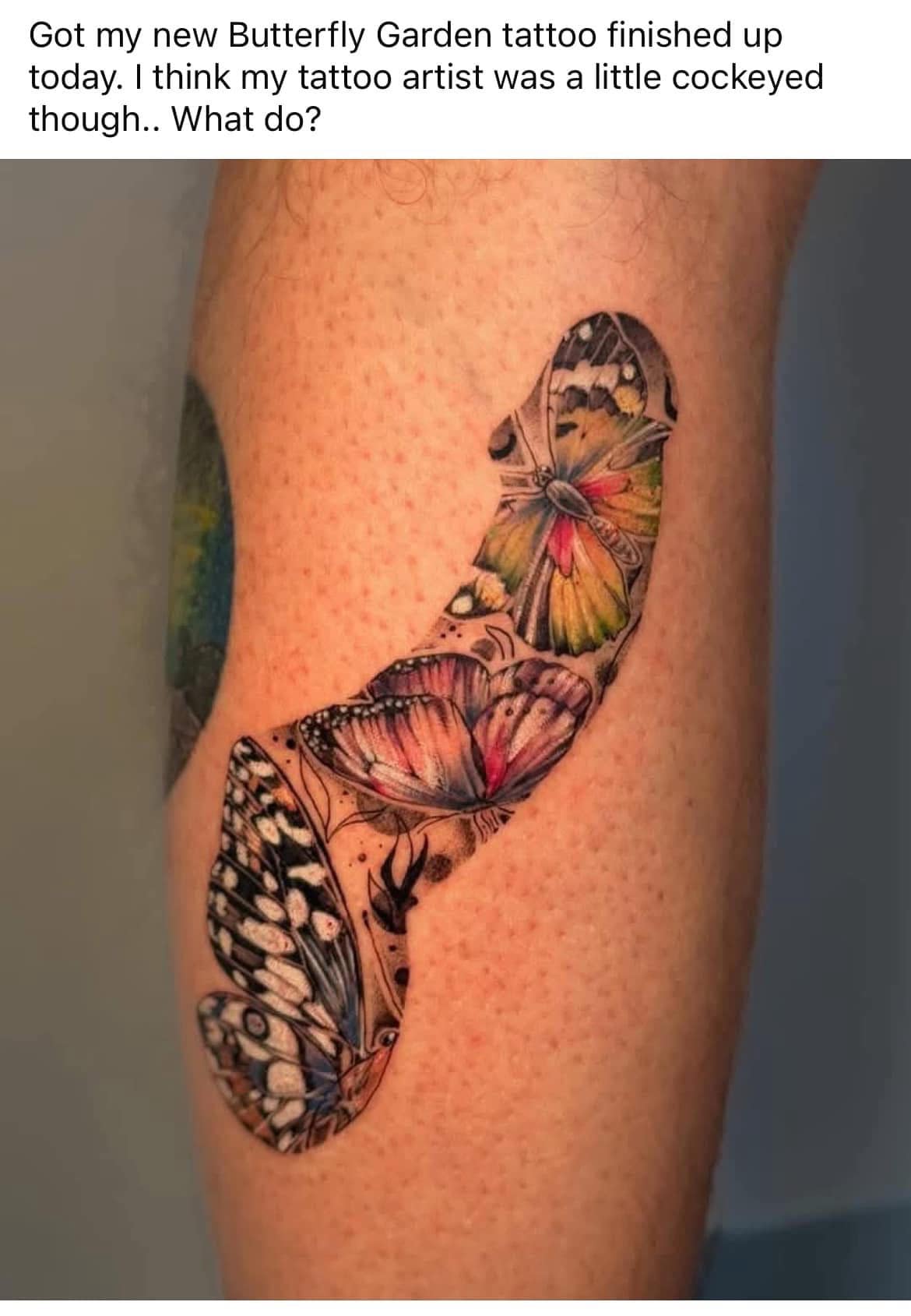 Got my new Butterfly Garden tattoo finished up today. I think my tattoo artist was a little cockeyed though.. What do?