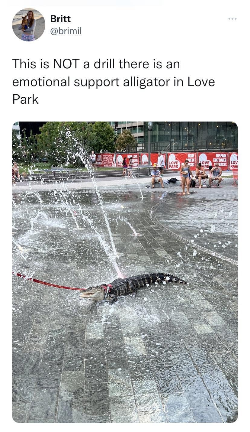Britt @brimil This is NOT a drill there is an emotional support alligator in Love Park