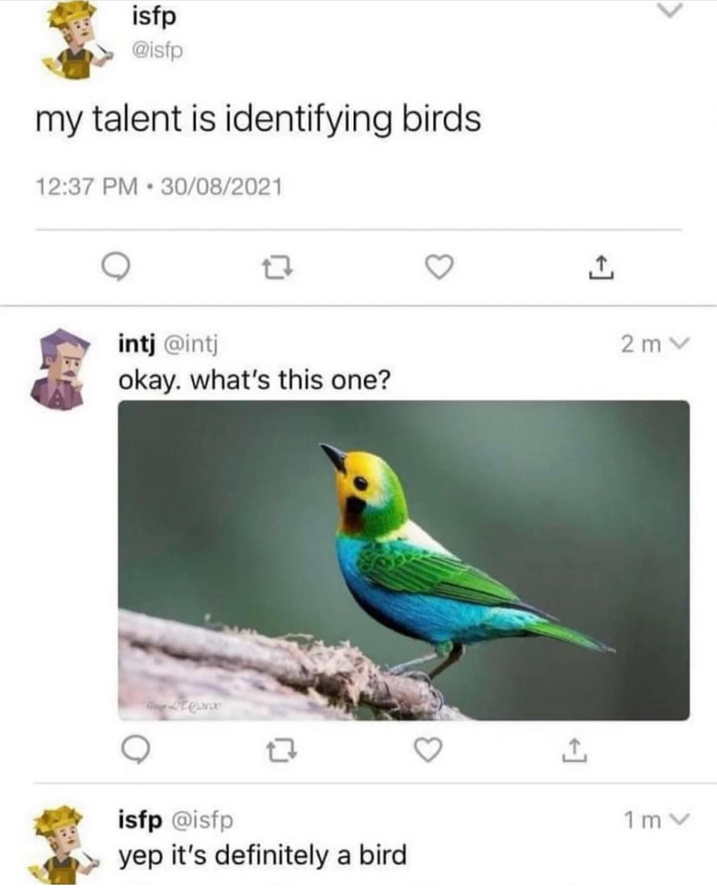 isfp @isfp my talent is identifying birds 12:37 PM • 30/08/2021 intj @intj okay. what's this one? 口 isfp @isfp yep it's definitely a bird T, 2 m v 1 m v