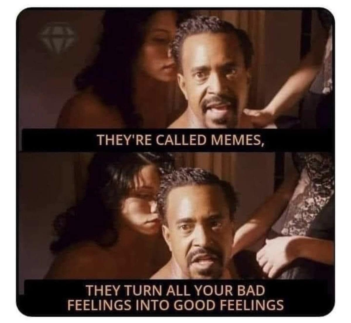 meme dump, funny memes, hilarious memes, dank meme dump, curated memes, comedic meme spree, net humor batch, mild comedic images, breezy net jokes, quick-laugh visuals, top comedic picks, comedic goldmine, ultimate net laughs