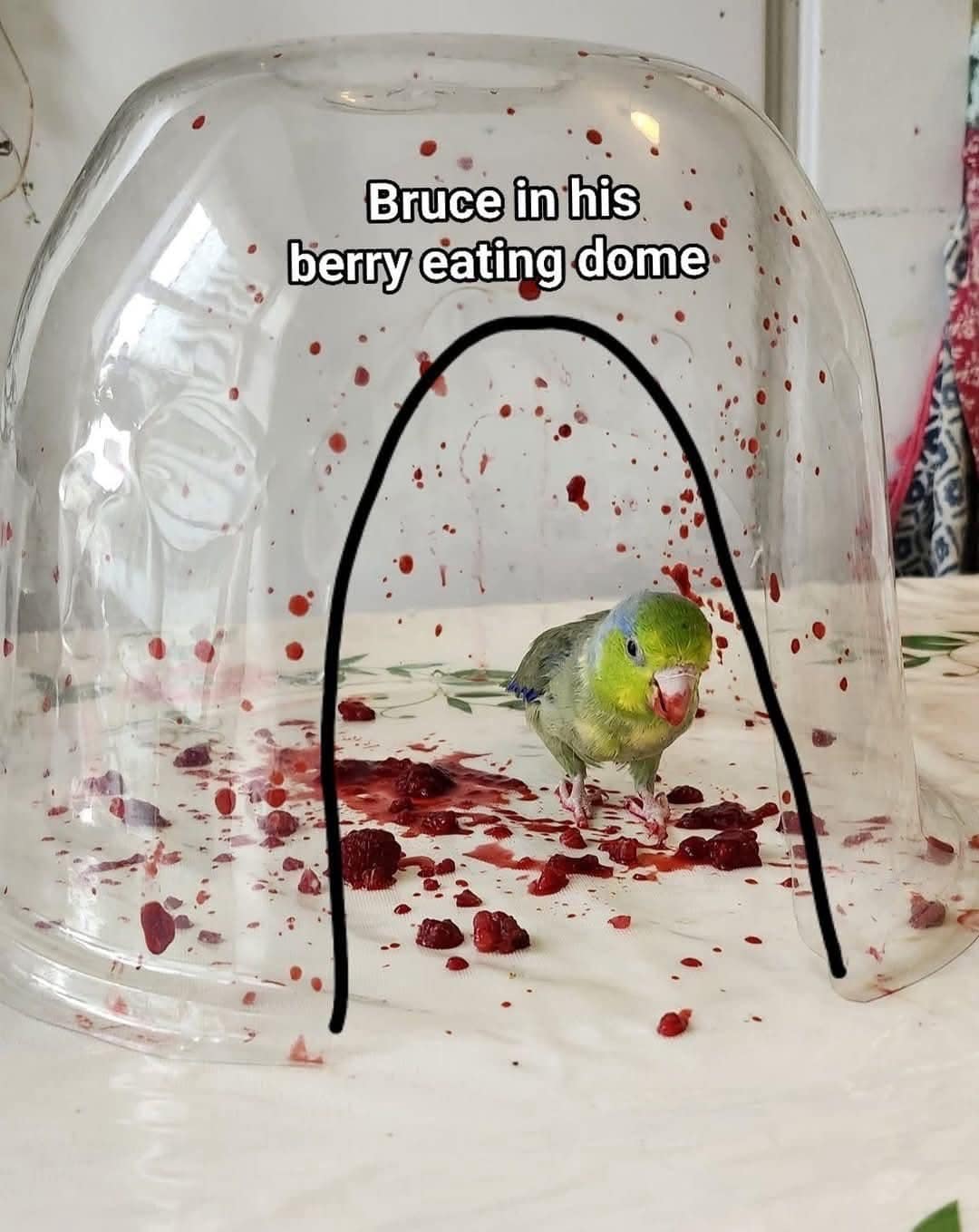 meme dump, funny memes, hilarious memes, dank meme dump, dank memes, meme gallery, meme post, daily memes