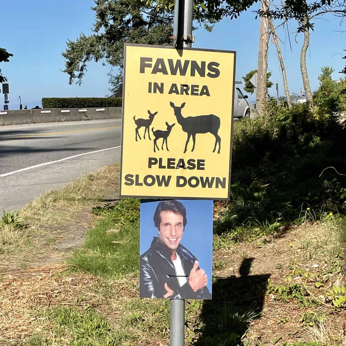 mildly vandalized, mild vandalism, soft sabotage, gentle defacement, subtle tampering, funny graffiti, comedic street art, witty scribbles, humorous wall doodles, safe comedic stunts, playful mischief, minimal disruption, soft mischief, mild troublemaking, low-key meddling, gentle roguery