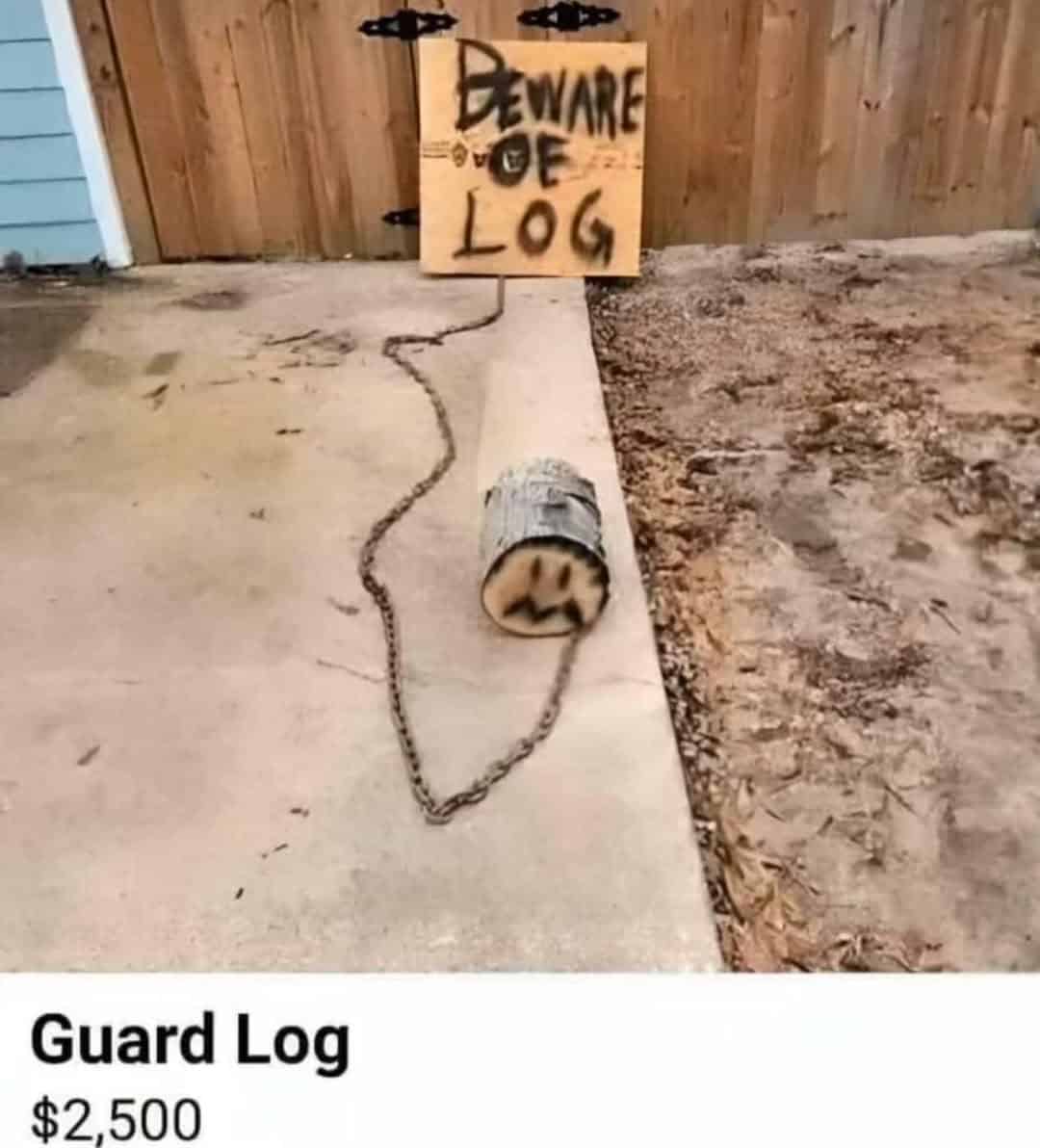 pics that go hard, funny pictures, intense visuals, shocking photography, bold image humor, edgy memes, rebellious comedic angles, subversive humor bits, outwardly radical jokes, radical images, visually extreme pics, mesmerizing snapshots, unorthodox photograph experiences, bizarre photos, uncanny camera captures, weird photography illusions, odd pictorial scenes