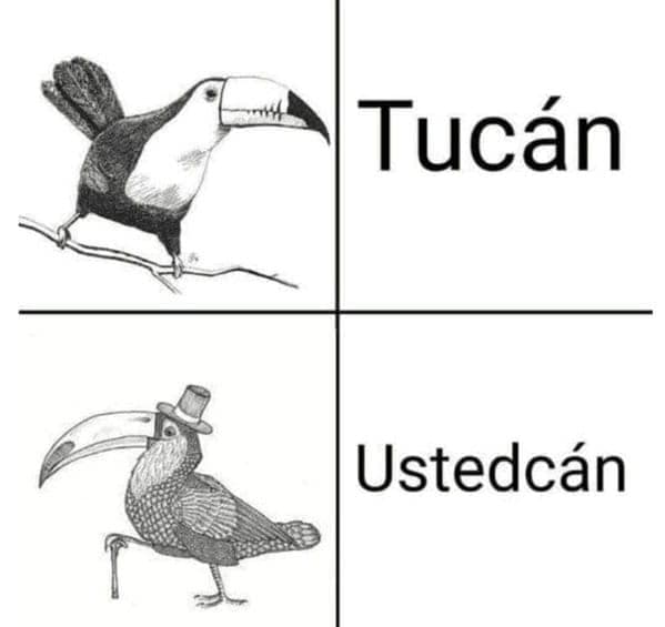 Tucán Ustedcán