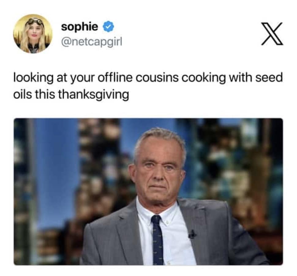 RFK jr meme, rfk jr memes, Robert F. Kennedy Jr meme, HHS memes, vaccine memes, political memes, conspiracy theory memes, public health memes, leadership memes, internet roast memes