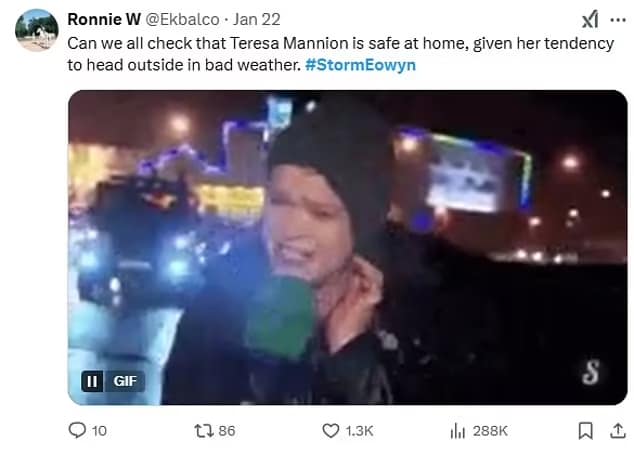 storm eowyn memes, Eowyn-inspired storm jokes, Middle-earth weather spoofs, wind-laden comedic takes, Eowyn jokes, shieldmaiden puns, fantasy warrior illusions, Tolkien comedic bits, storm memes, gale comedic references, high wind humor, weather meltdown jokes, Ireland weather jokes, comedic drizzle references, Gaelic storm banter, UK storm illusions