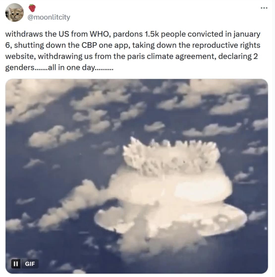 trump executive order memes, trump executive orders, Trump executive actions, Trump presidential orders, Trump policy changes, Trump White House decisions, political memes 2025, viral political jokes, government satire, trending political humor, January 6th pardons, Capitol riot pardons, Trump insurrection clemency, political scandal pardons