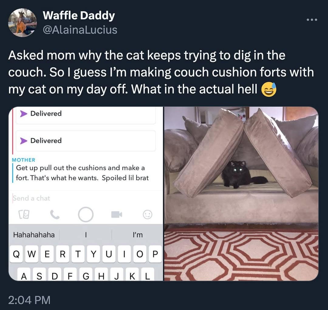 wholesome memes, heartwarming memes, feel-good memes, heartwarming humor, uplifting jokes, kindness memes, positivity memes, good vibes humor, happy moments, adorable jokes