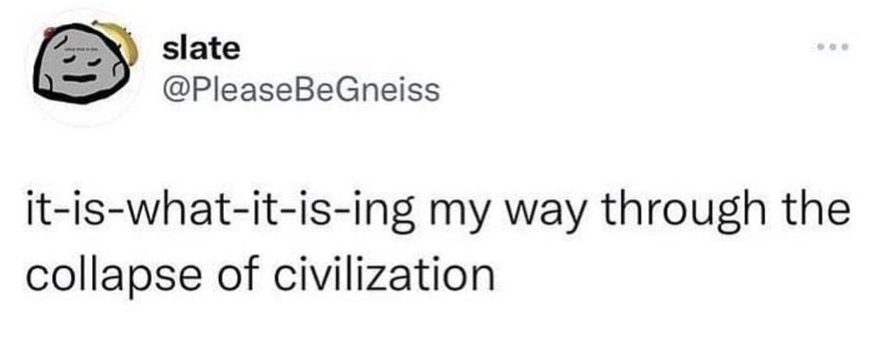it-is-what-it-is-ing my way through the collapse of civilization