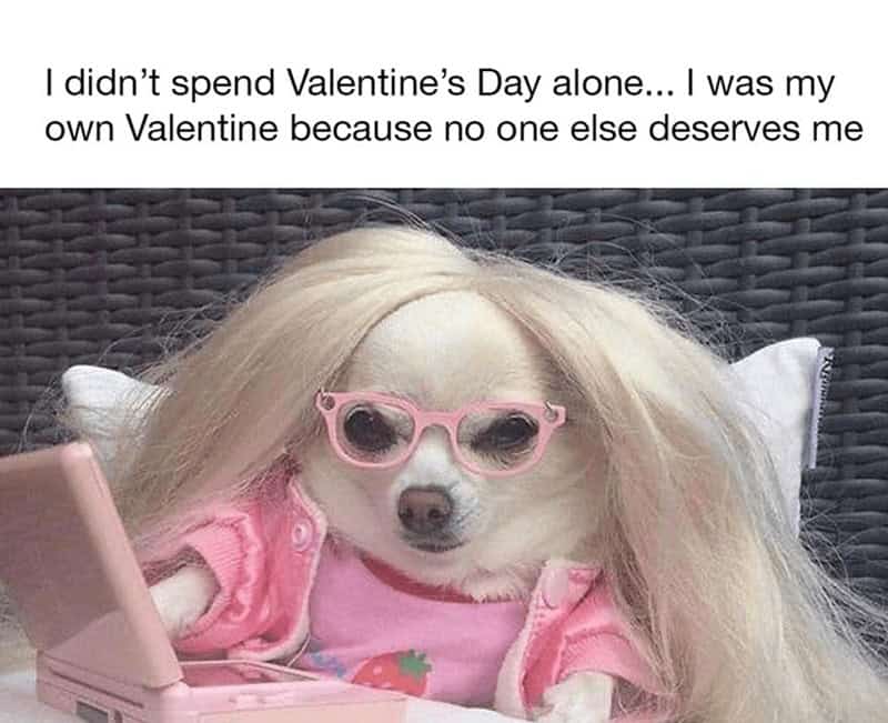 Valentines memes, single life humor, love day jokes, anti-Valentine’s memes, single girl jokes, single memes, romance humor, couple jokes, love life memes, Valentine's day memes, Valentine's memes