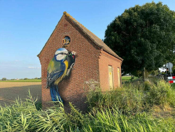 beautiful wall murals, jan is de man, stunning urban artworks, aesthetically pleasing frescoes, visually striking paintings, street art, urban expression, graffiti-inspired pieces, public space artistry, mural artist, large-scale painter, wall art specialist, community art creator, creative paintings, imaginative visuals, artistic renderings, inspired brushwork