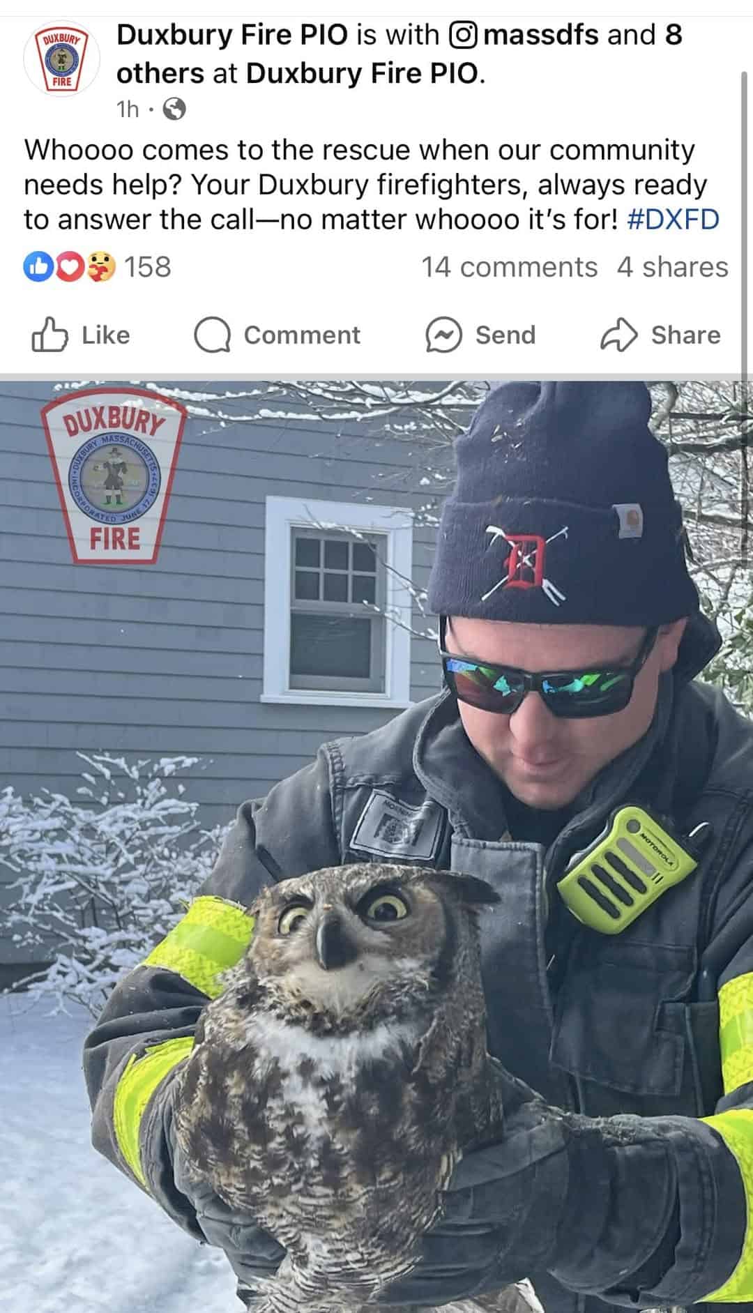 bird memes, birds with threatening auras, avian memes, feather memes, bird humor, bird watching, bird jokes, bird behavior, avian watching, feather jokes, bird antics