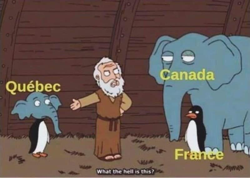 Canadian humor, Great White North memes, maple syrup jokes, hockey memes, Canadian weather, poutine humor, polite apologies, winter jokes, Canadian pride