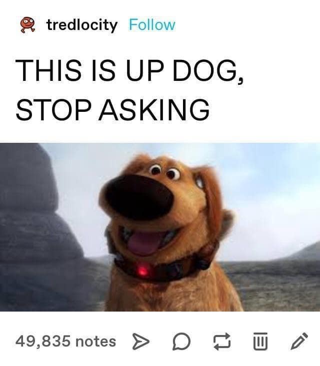 classic memes, vintage memes viral tweets, best memes, old memes, older memes, viral memes, timeless memes, internet humor, internet culture, meme history, nostalgic memes, adulting memes