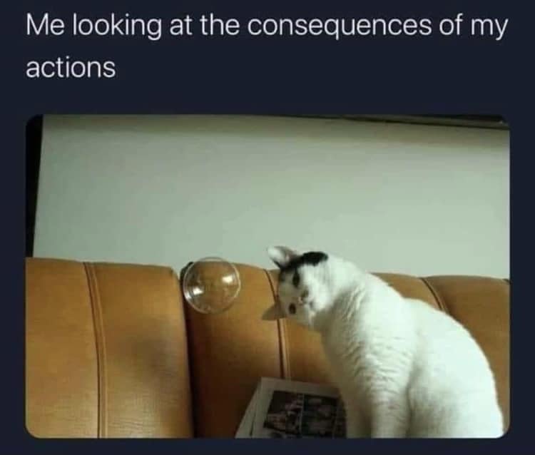 classic memes, vintage memes viral tweets, best memes, old memes, older memes, viral memes, timeless memes, internet humor, internet culture, meme history, nostalgic memes, adulting memes