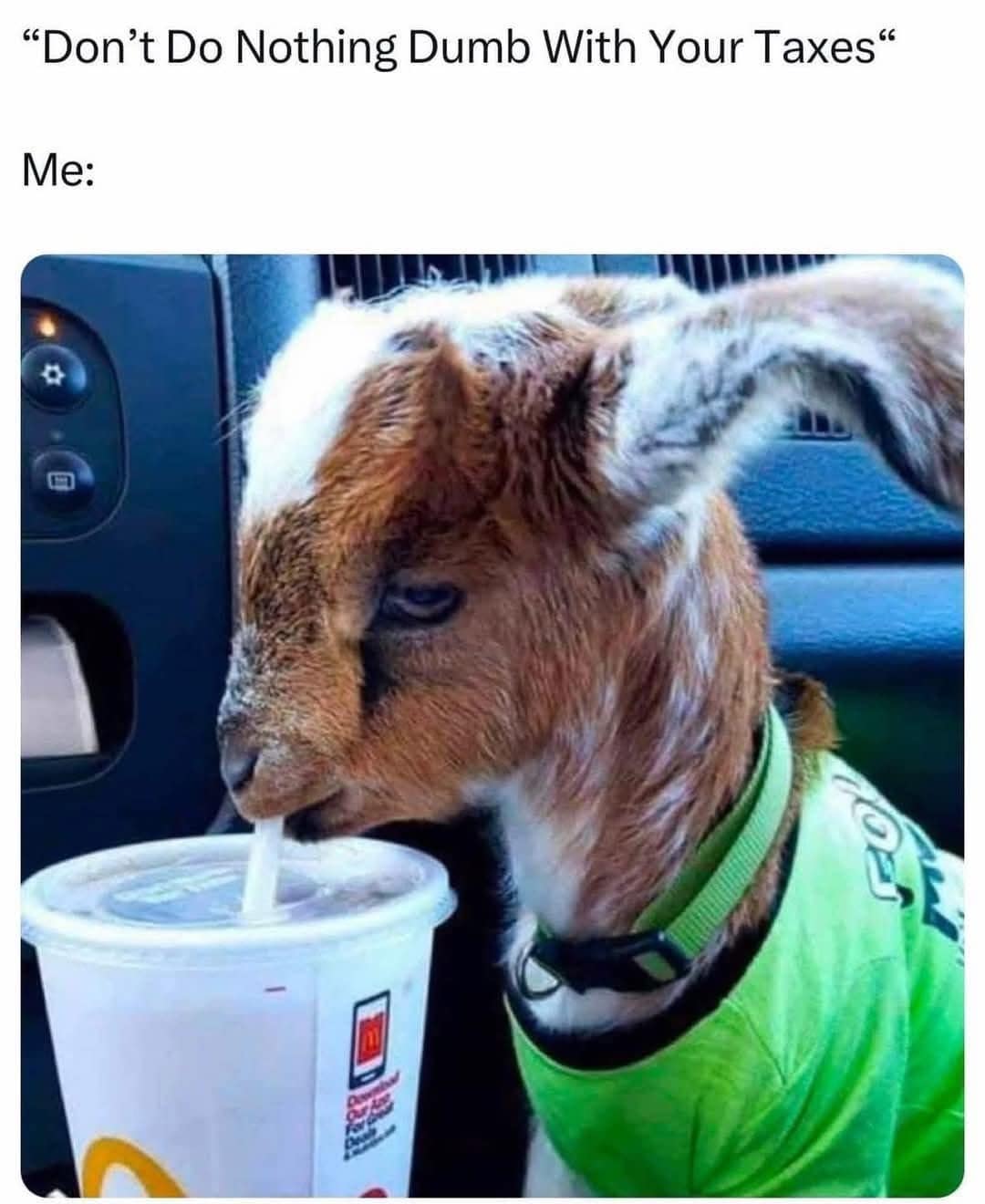 classic memes, vintage memes, viral tweets, dnd memes, d&d memes, dungeons & dragons, tabletop humor, RPG jokes, dice-rolling laughs, role-playing memes, character creation puns, story-driven fun, gaming banter, fantasy gaming jokes, quest comedy, mythical hilarity, epic sarcasm, critical hit humor, lucky rolls, big damage quips, heroic punchlines