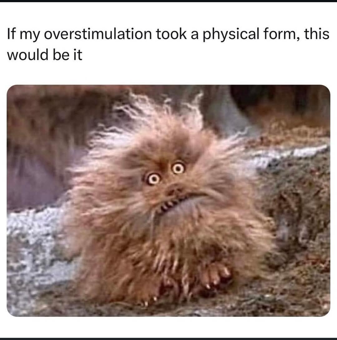 If my overstimulation took a physical form, this would be it