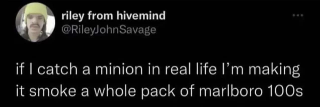 riley from hivemind @RileyJohnSavage if I catch a minion in real life I'm making it smoke a whole pack of marlboro 100s