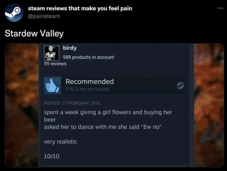 steam reviews that make you feel pain @painsteam Stardew Valley birdy 988 products in account 59 reviews Recommended 176.2 hrs on record POSTED. 27 FEBRUARY, 2016 spent a week giving a girl flowers and buying her beer asked her to dance with me she said "Ew no* very realistic 10/10